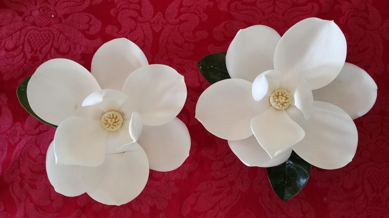Fruits Of Vienna B&B Bagian luar foto